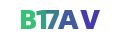 B17AV