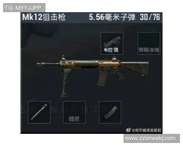 杨强畅谈和平精英发展历程与未来展望的深度专访回顾