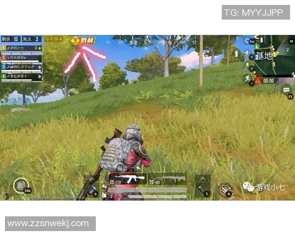 热议和平精英FPX技术变革如何推动游戏生态与玩家体验的全面提升